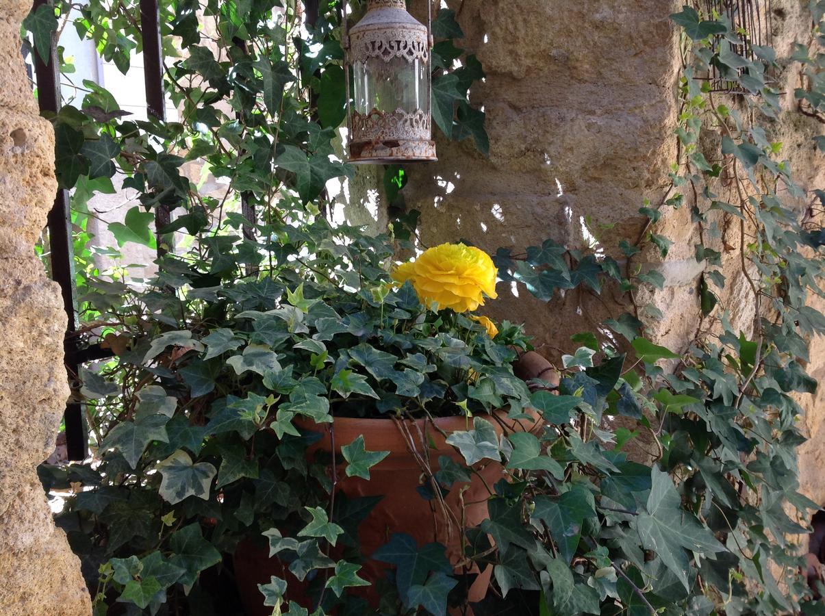 Un Patio En Luberon Acomodação com café da manhã Ansouis Exterior foto